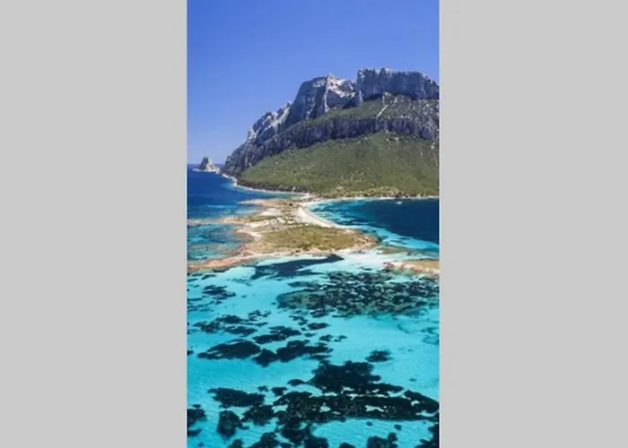 Willa Villarosa Views *